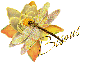 bisous libélule